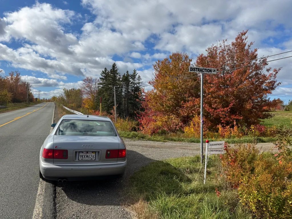 Roci and I – Back in Canada