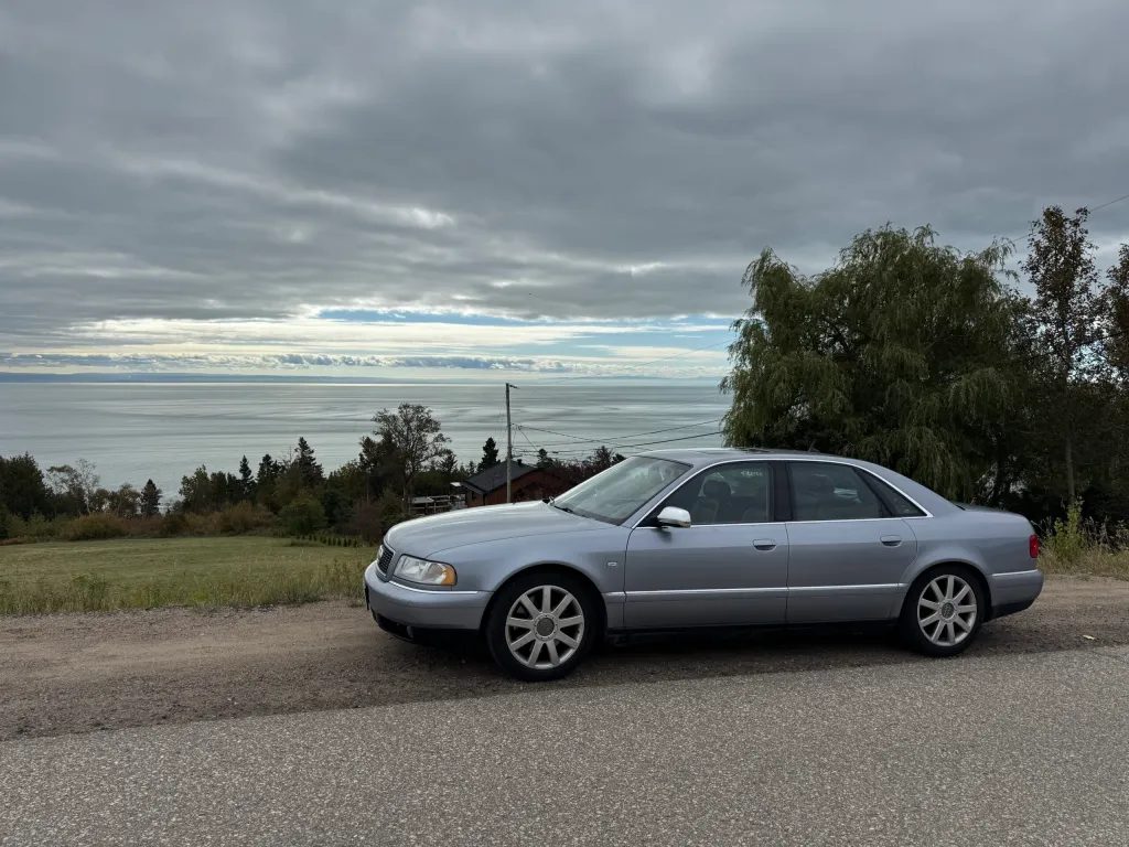 Roci is definitely matching the sky color…