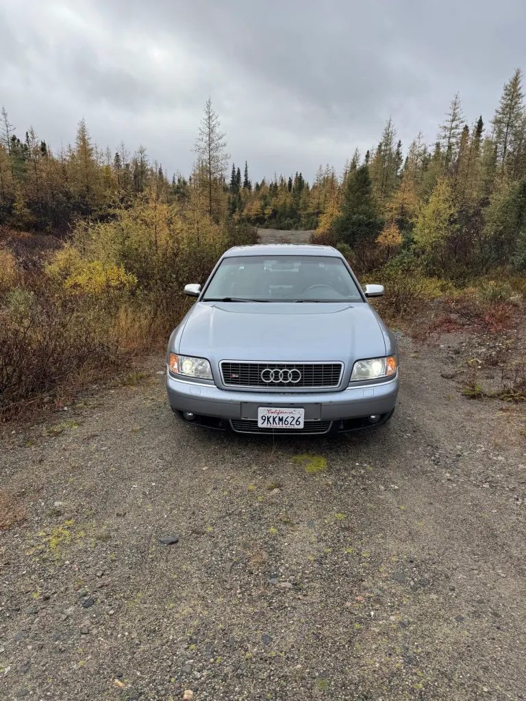 We were literally 5 meters from the road, as Roci doesn’t like off-roading (she’s a drifting kind of girl)