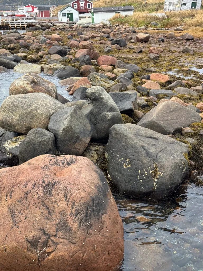 I swear I saw a seal in the middle there!