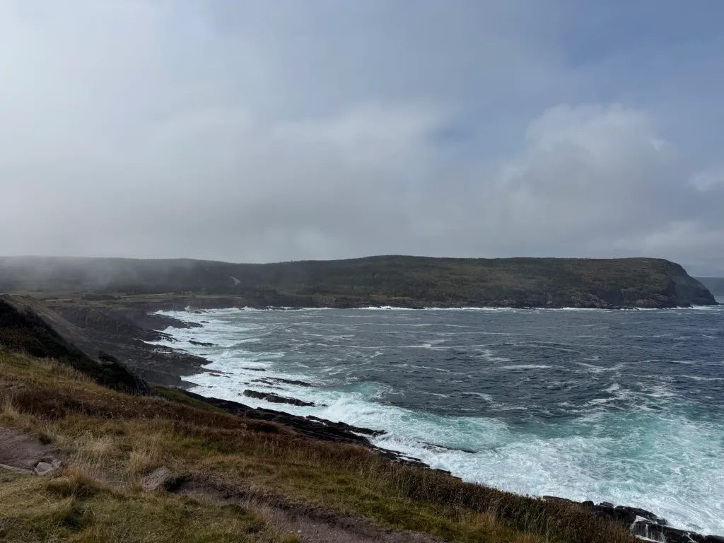 View from Cape Spear