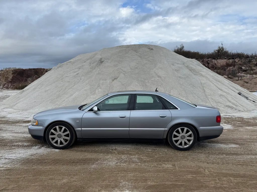 Roci likes white stuff (no idea what it is)