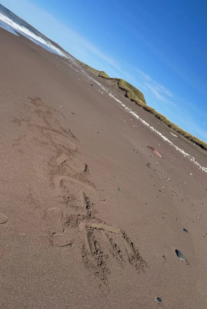 Marking what I believe to be an ownership mark on the above mentioned pristine beach