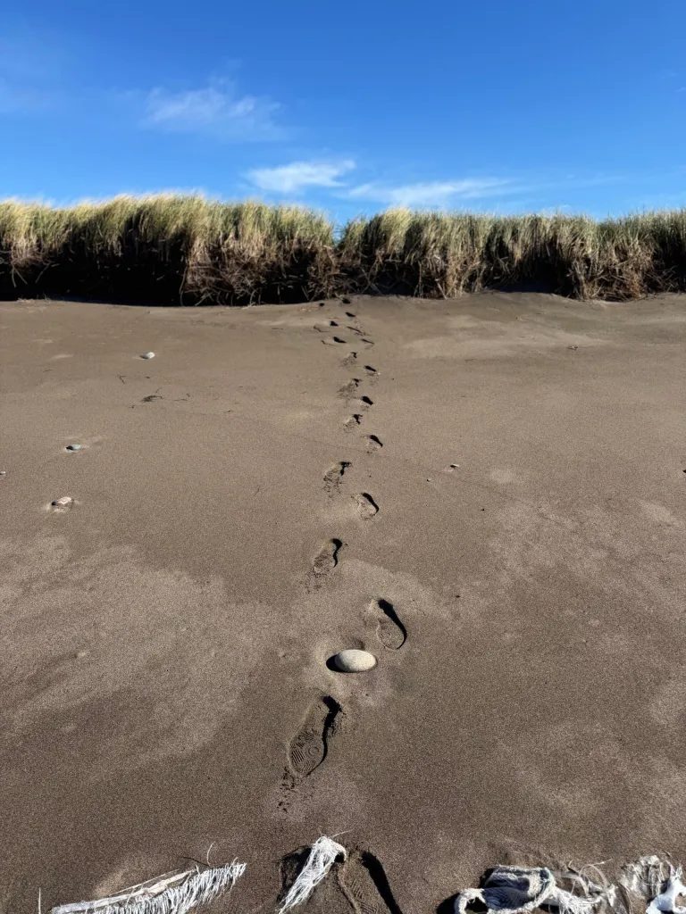 My Adidas boots leaving the only man-made tracks on a pristine beach