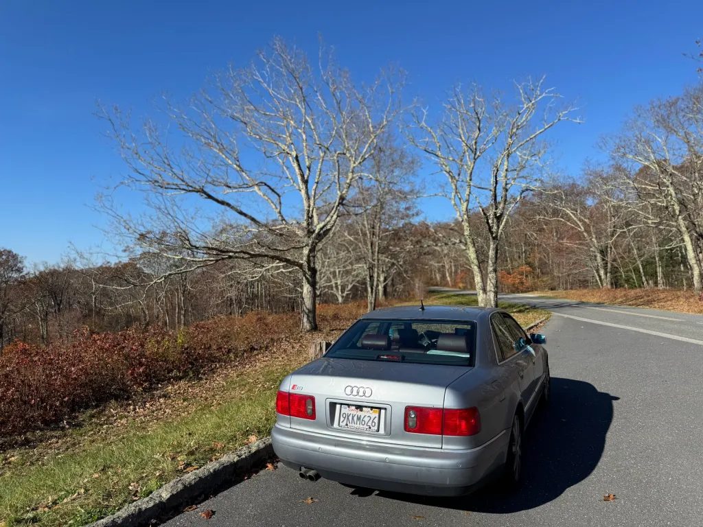 There’s something about dead trees that are still standing. Roci said these two are putting their arms/branches up to the sky and shouting in tree-ease “why, oh why?”
