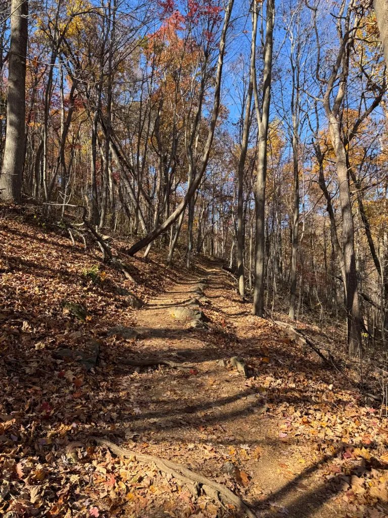 I did hike, too!