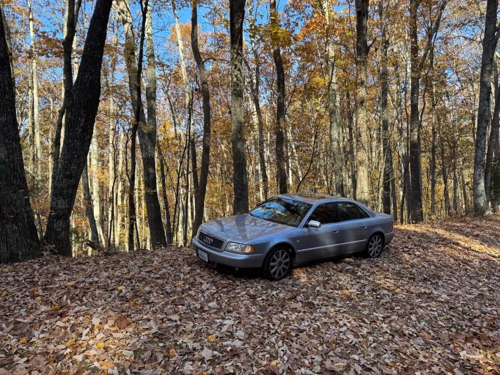 Roci declared this leaves covered area an “overlook.” Who am I to argue??