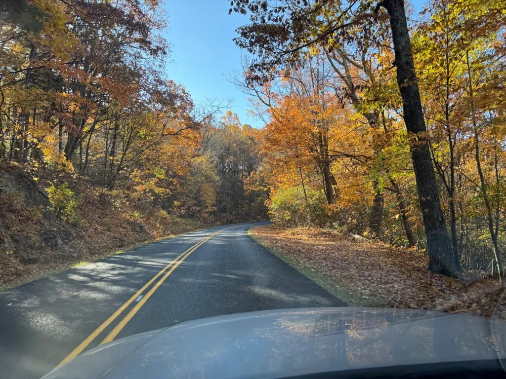 Gorgeous drive!
