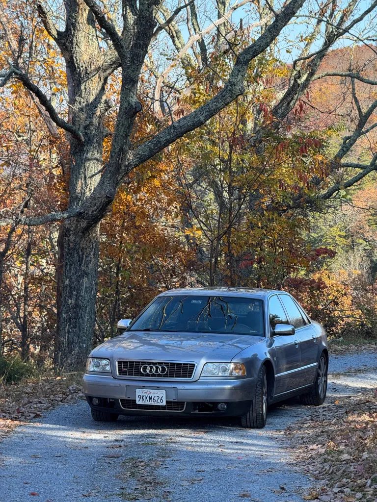 Roci and trees – how can anyone resist?